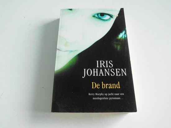 Omslag van De Brand