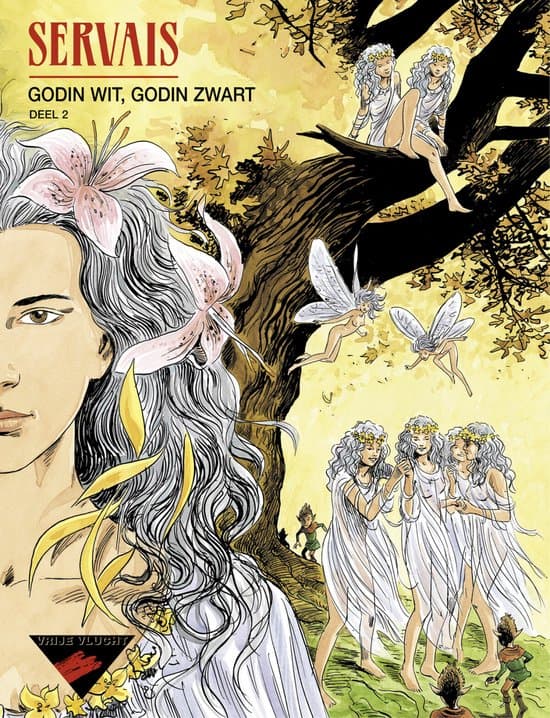 Omslag van Godin wit, godin zwart, deel 2
