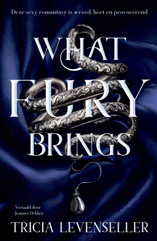 Omslag van What fury brings