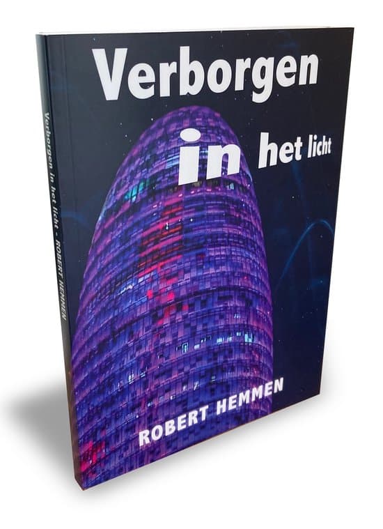 Omslag van Verborgen in het licht