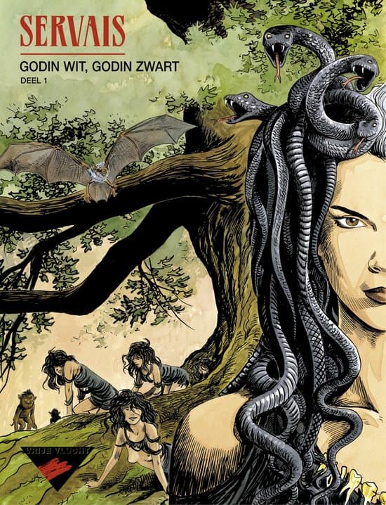 Omslag van Godin Wit, Godin Zwart