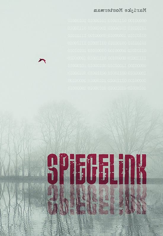 Omslag van Spiegelink