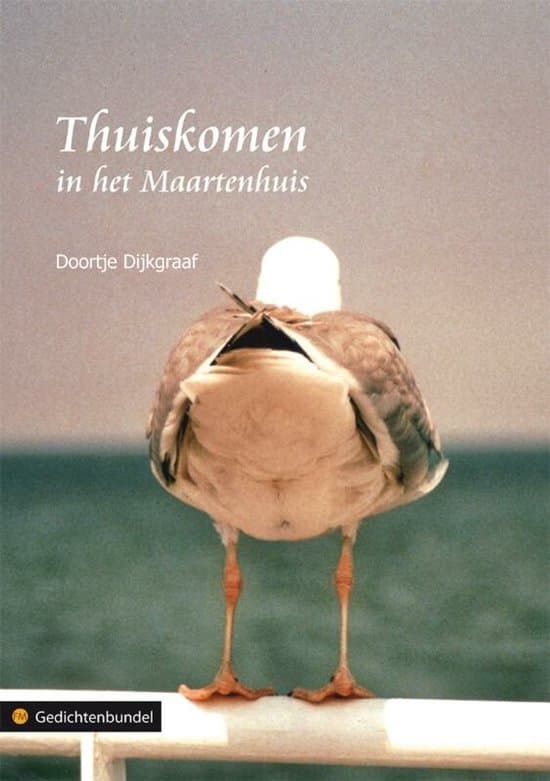 Omslag van Thuiskomen In Het Maartenhuis