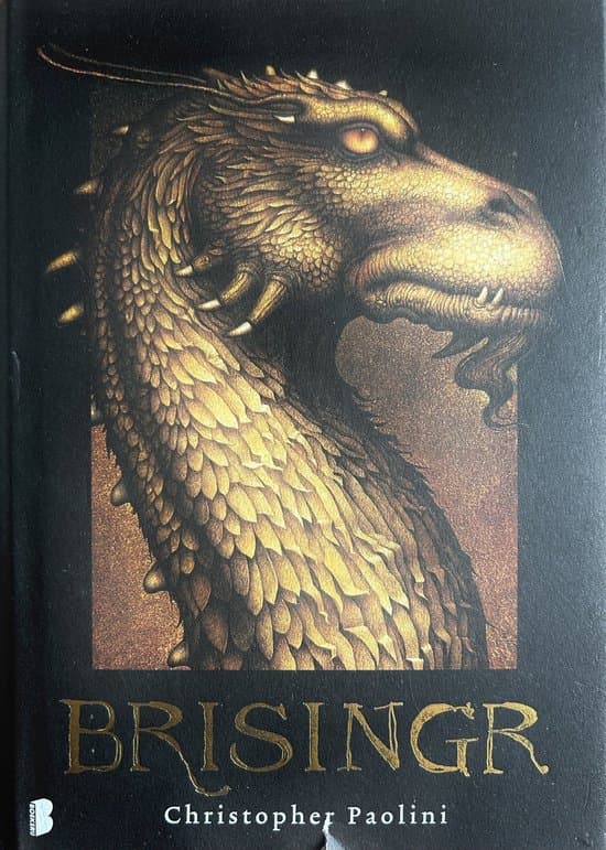 Omslag van brisinger