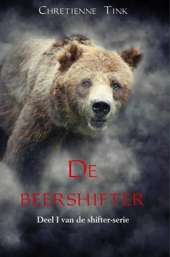 Omslag van De beershifter