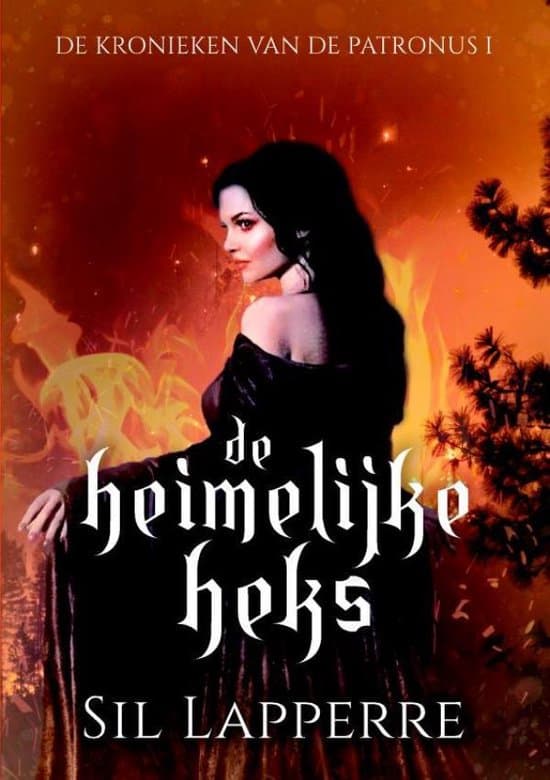 Omslag van De kronieken van de Patronus 1 - De heimelijke heks