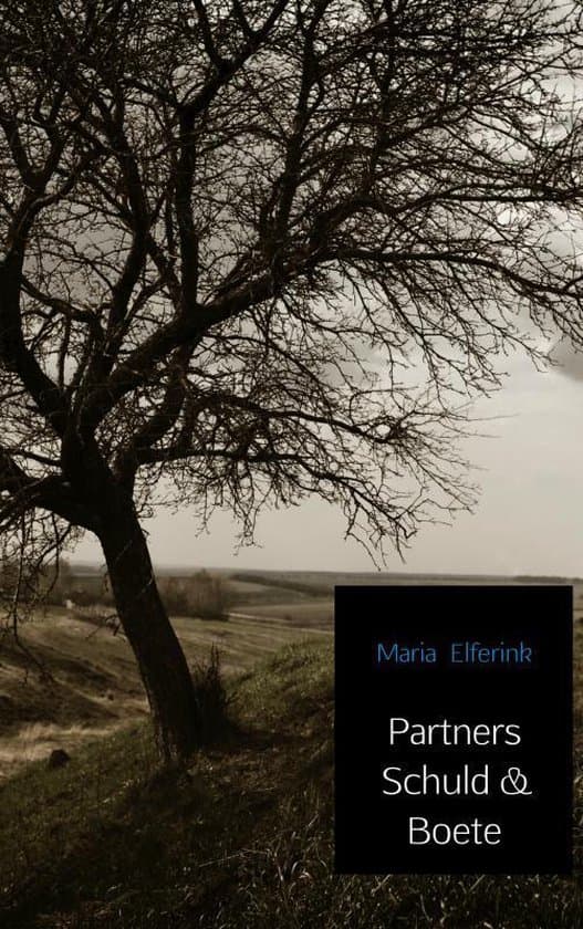Omslag van Partners Schuld & Boete