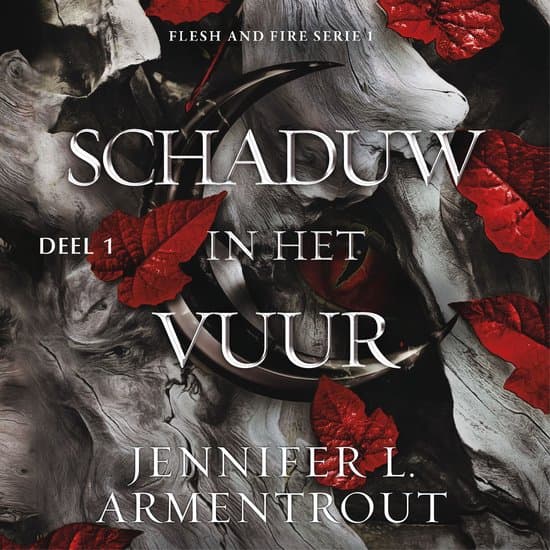 Omslag van Schaduw in het vuur 1