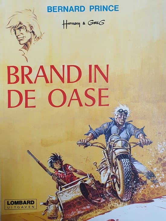 Omslag van Brand in de oase