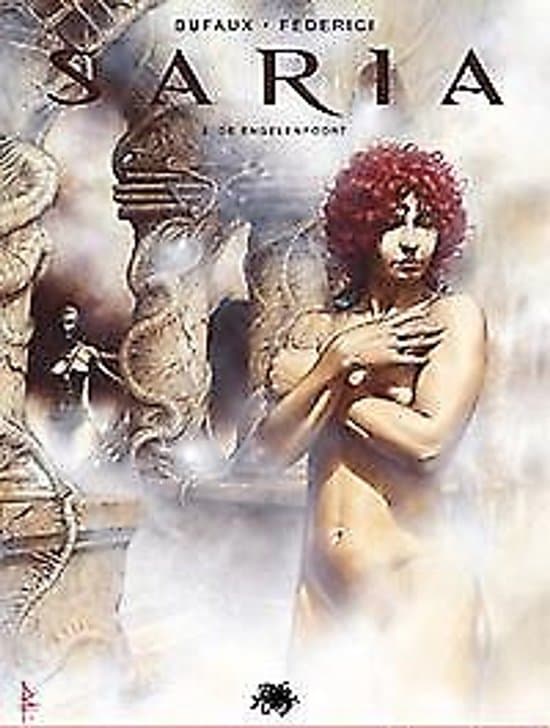 Omslag van Saria 02. de poort van de engel