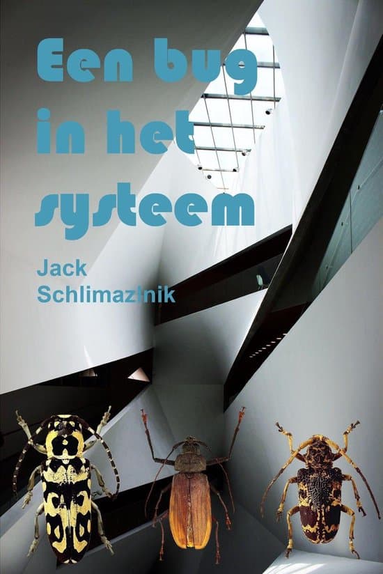 Omslag van Een bug in het systeem