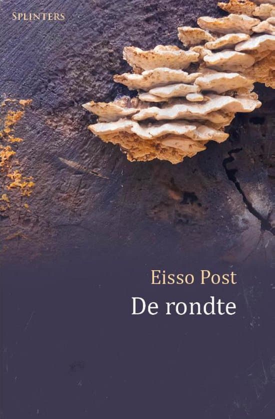 Omslag van Splinters  -   De rondte