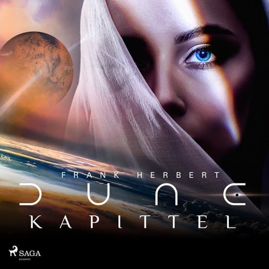 Omslag van Dune Kapittel
