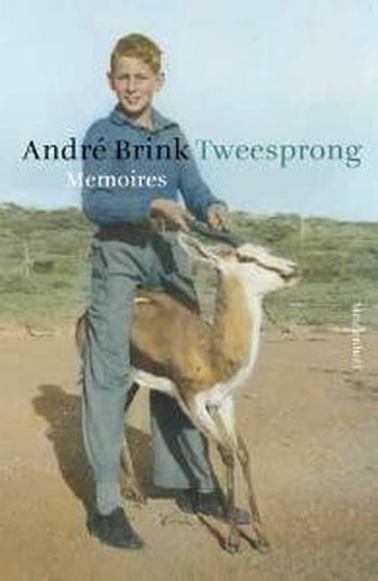 Omslag van Tweesprong - Memoires
