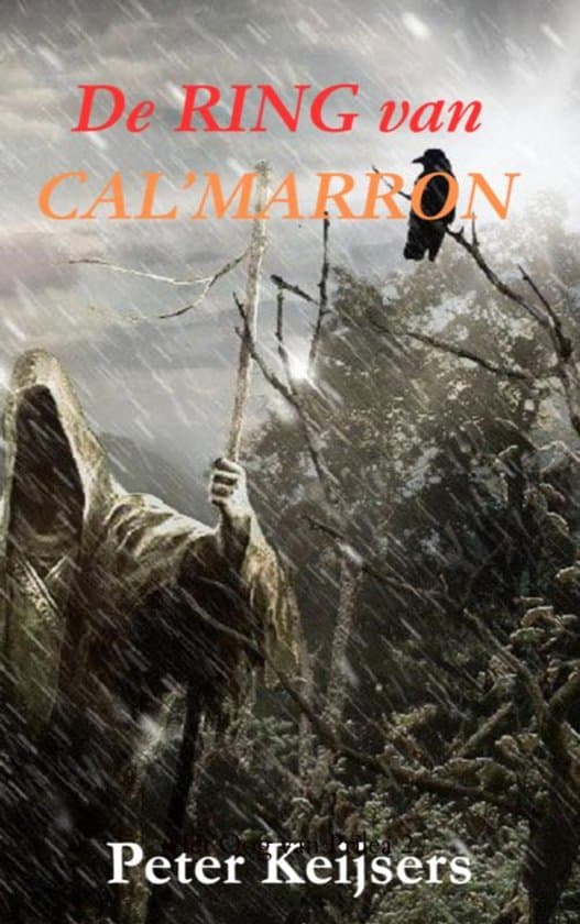 Omslag van De Ring van Cal'marron