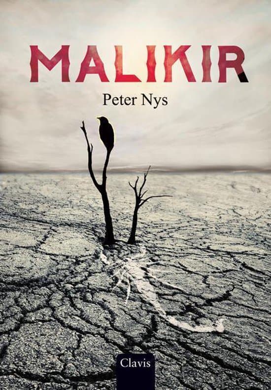 Omslag van Wentelwereld 2 -   Malikir