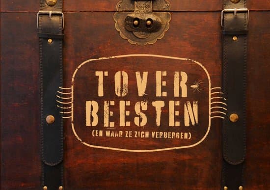 Omslag van Toverbeesten (en waar ze zich verbergen)