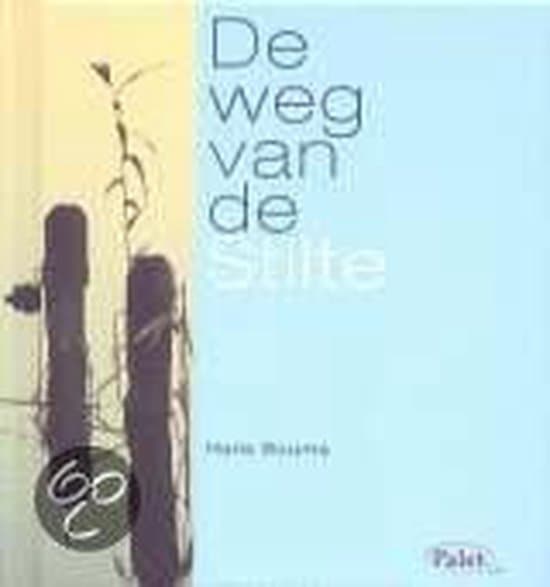 Omslag van Weg van de stilte, de