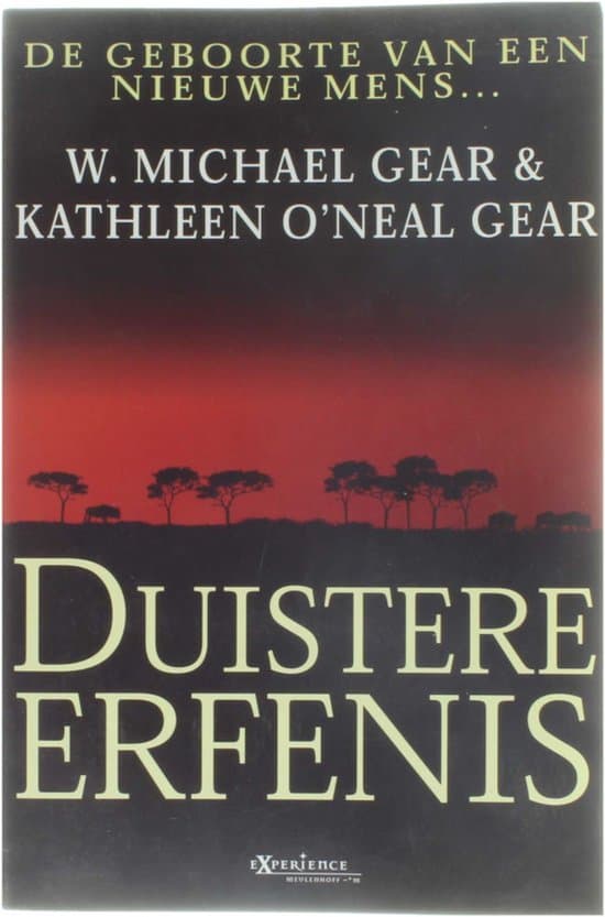 Omslag van DUISTERE ERFENIS