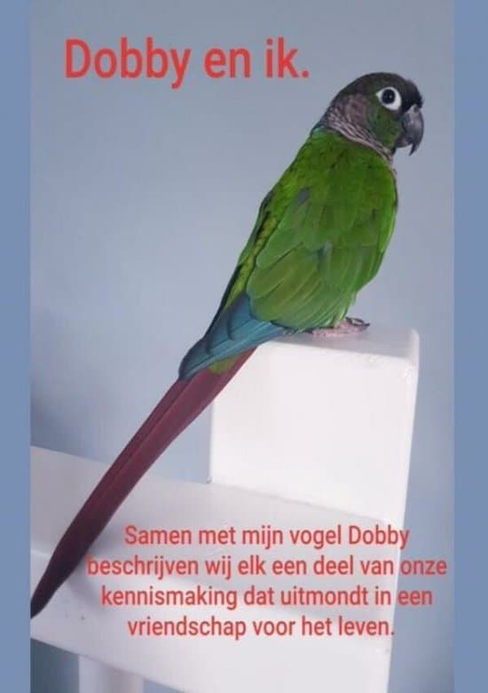 Omslag van Dobby en ik.