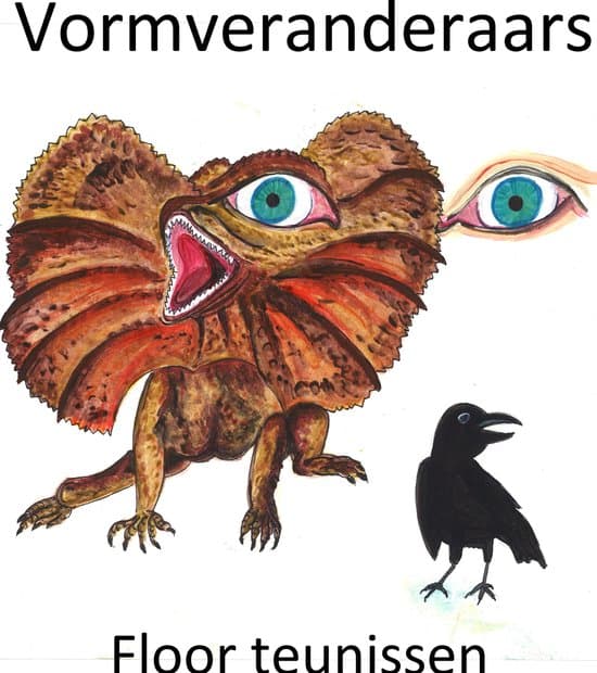 Omslag van Vormveranderaars