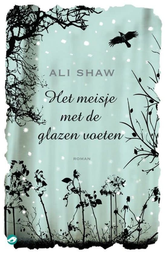 Omslag van Het Meisje Met De Glazen Voeten
