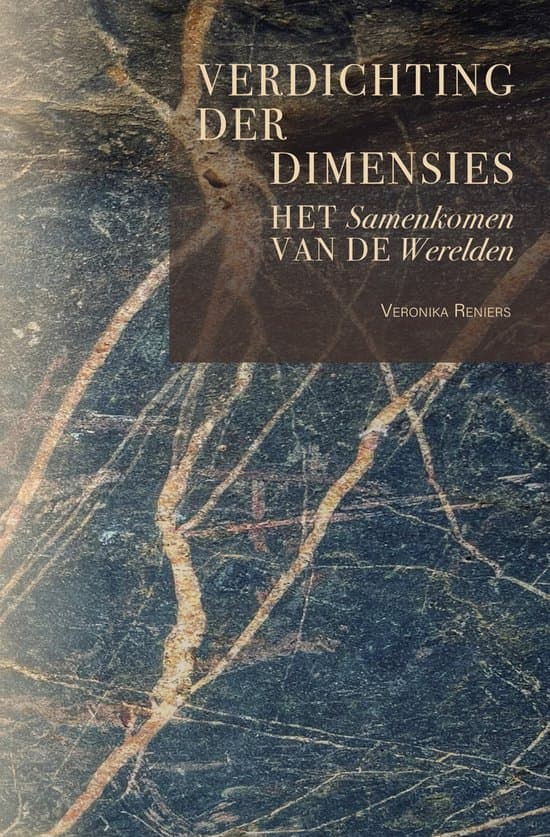 Omslag van Verdichting der dimensies