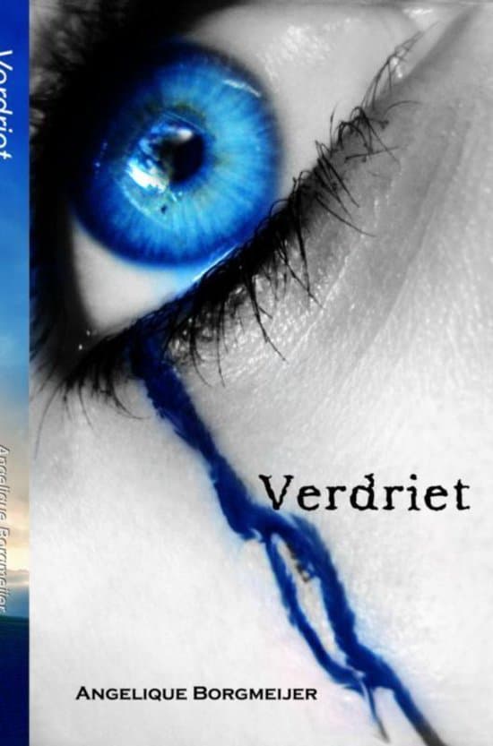 Omslag van Verdriet