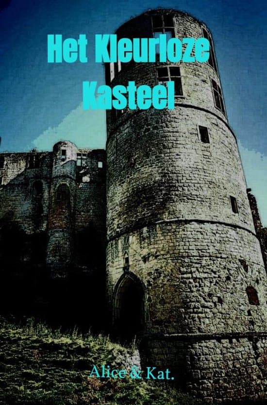 Omslag van Het Kleurloze Kasteel