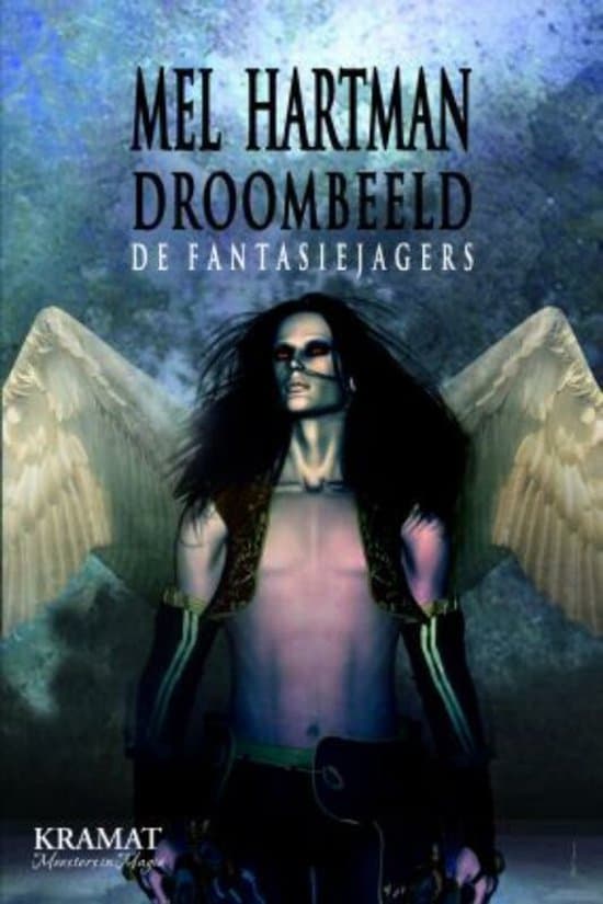 Omslag van Droombeeld