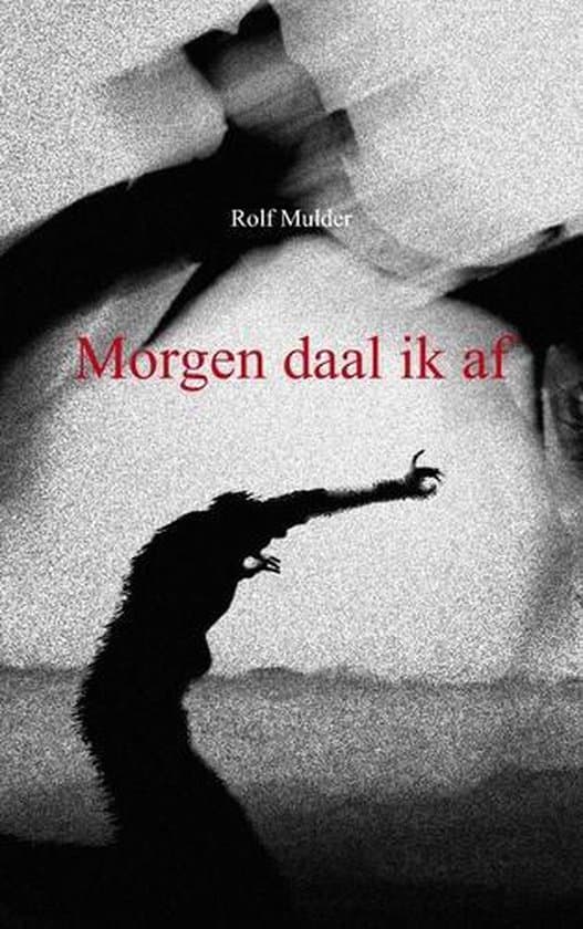 Omslag van Morgen daal ik af