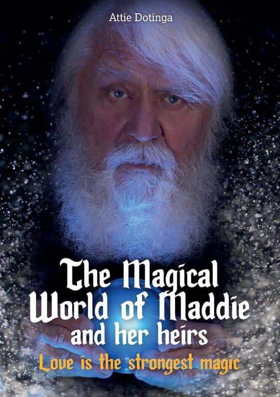 Omslag van The Magical World of Maddie and her heirs 11