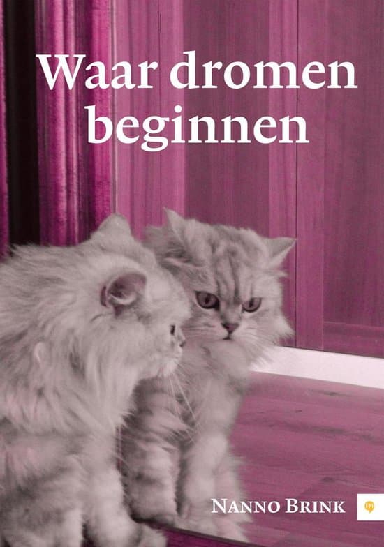 Omslag van Waar dromen beginnen