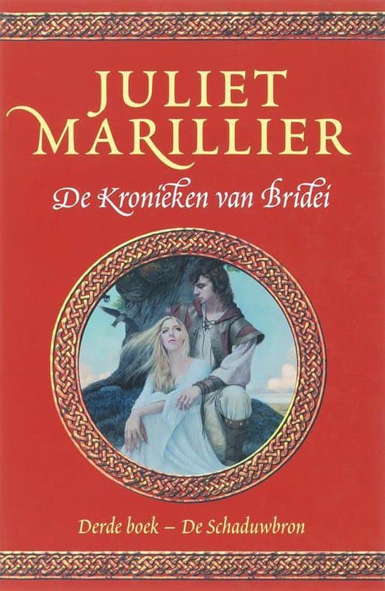 Omslag van Kronieken Van Bridei 003 De Schaduwbron
