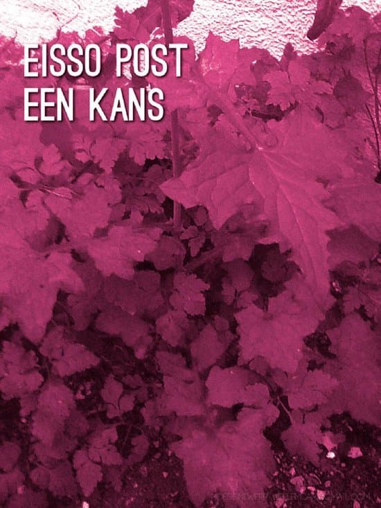 Omslag van Een kans