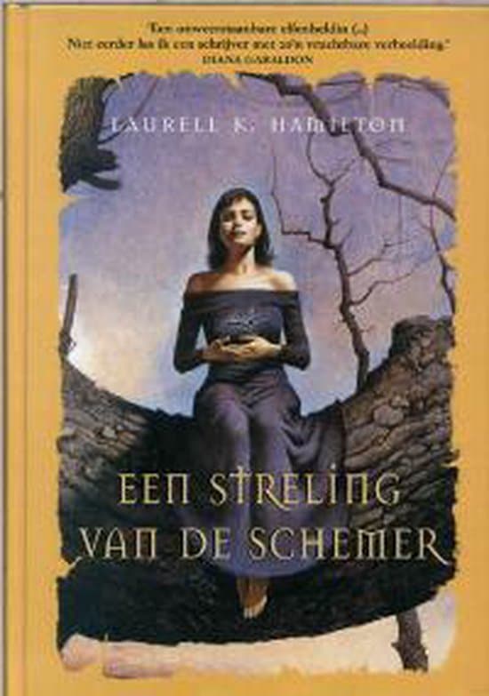 Omslag van Streling Van De Schemer