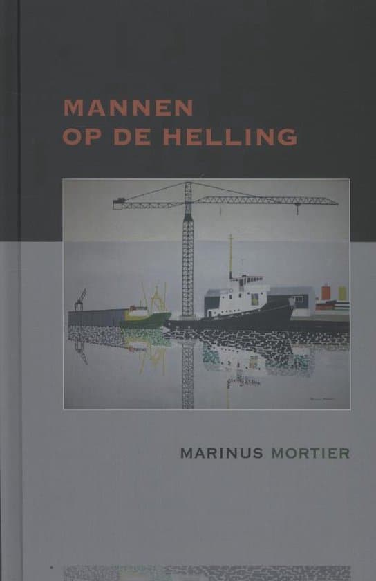 Omslag van Mannen op de helling