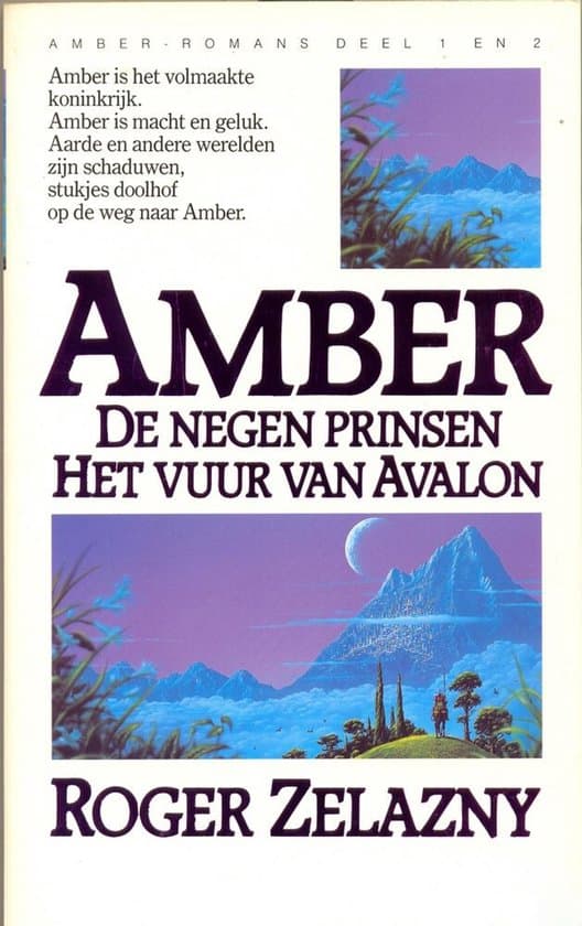 Omslag van Amber De negen prinsen / Het vuur van Avalon