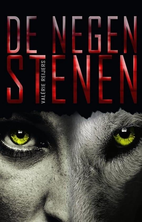Omslag van De negen stenen