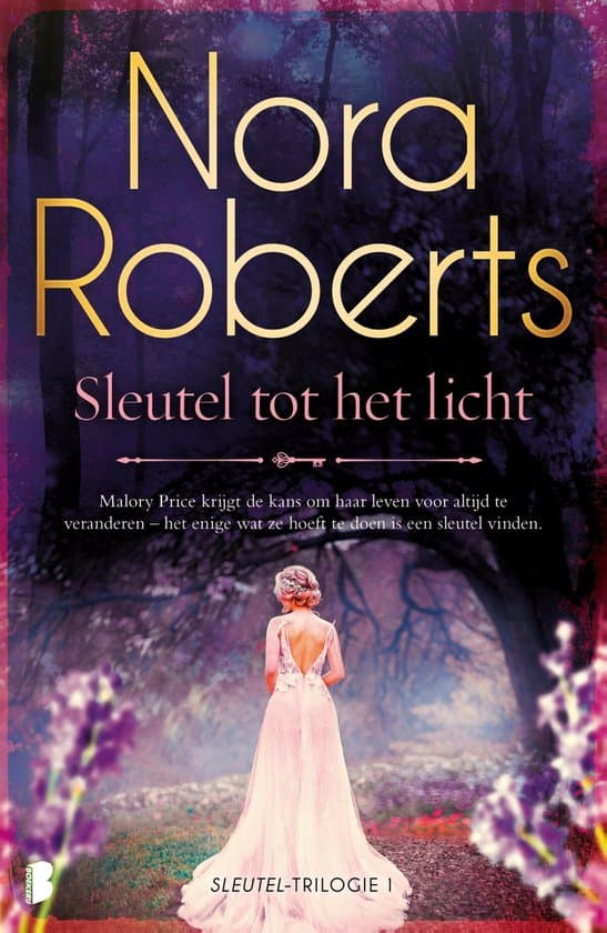 Omslag van Sleutel 1 - Sleutel tot het licht