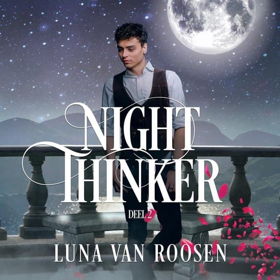 Omslag van Night Thinker: Deel 2 van Day Dreamer