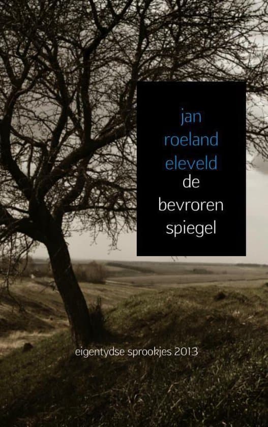Omslag van De bevroren spiegel