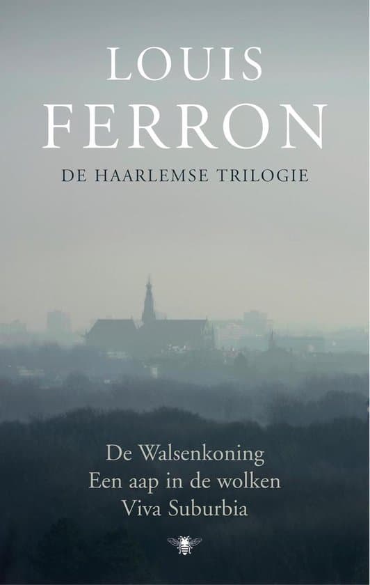 Omslag van Haarlemse trilogie