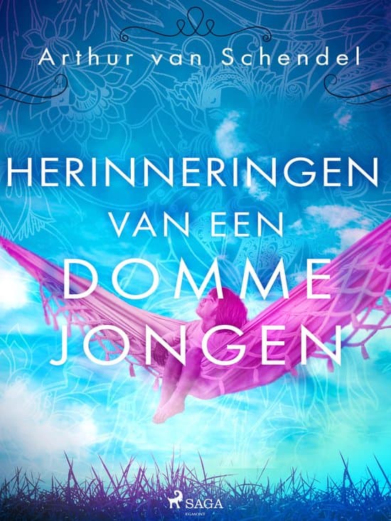 Omslag van Herinneringen van een domme jongen