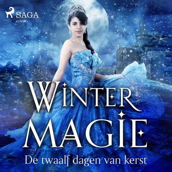 Omslag van Wintermagie