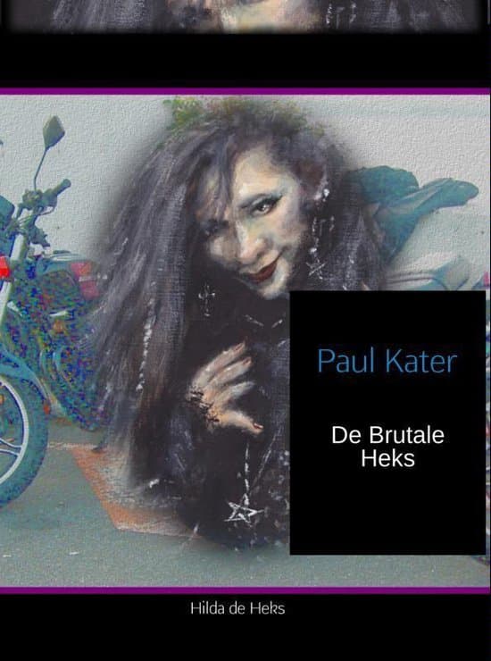 Omslag van De brutale heks