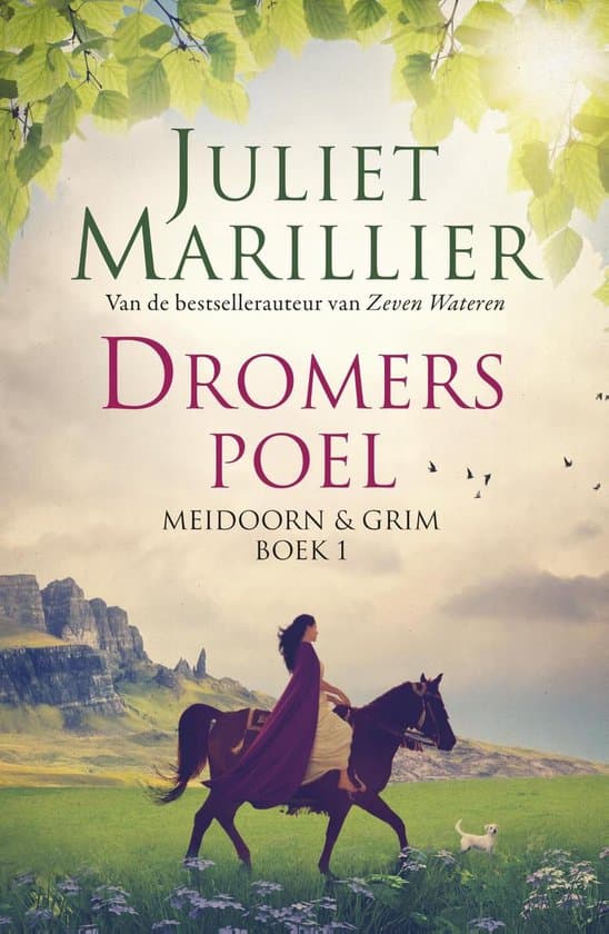 Omslag van Dromerspoel