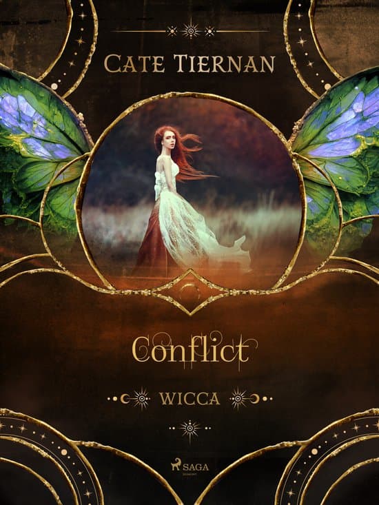 Omslag van Conflict