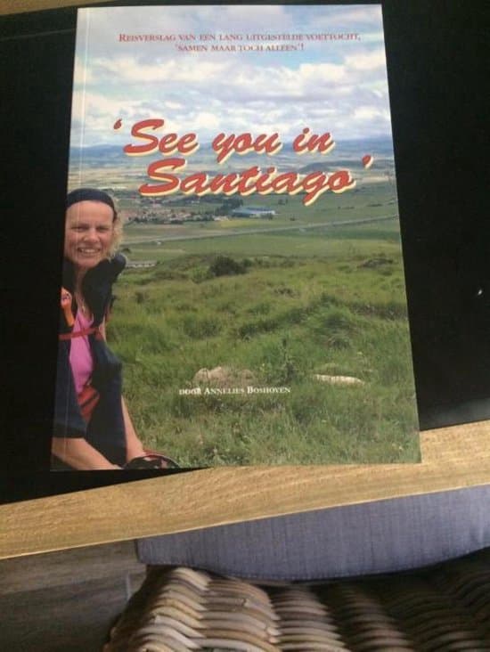 Omslag van See you in Santiago